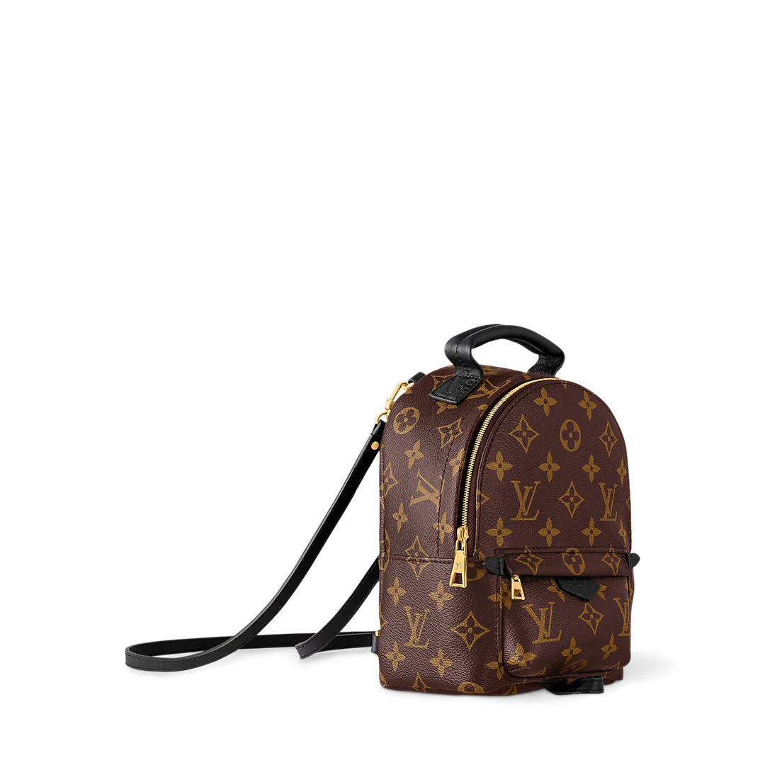 LV Palm Springs Mini Backpack