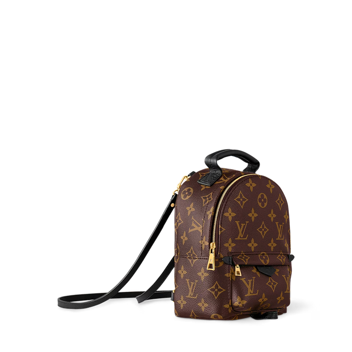 LV Palm Springs Mini Backpack
