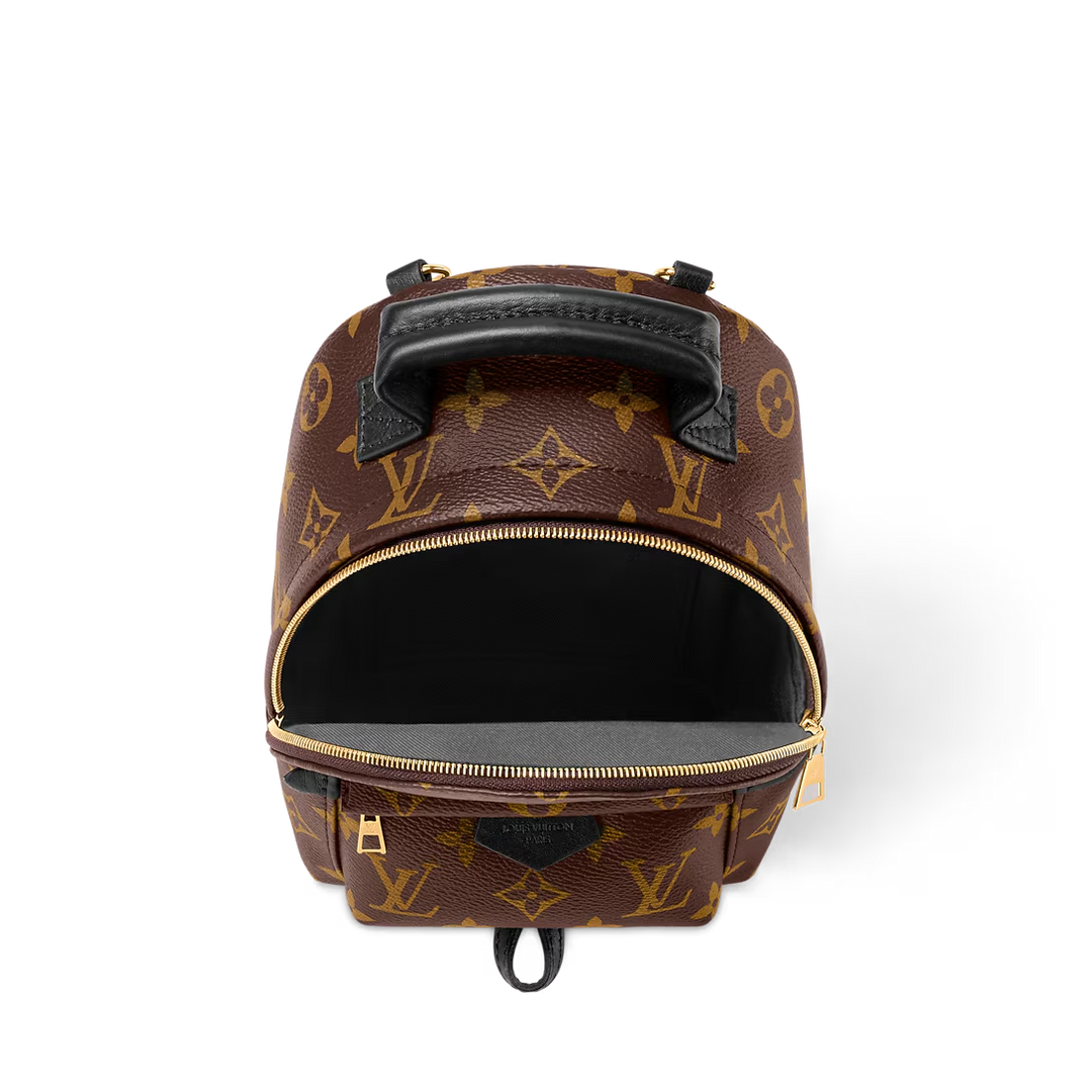 LV Palm Springs Mini Backpack