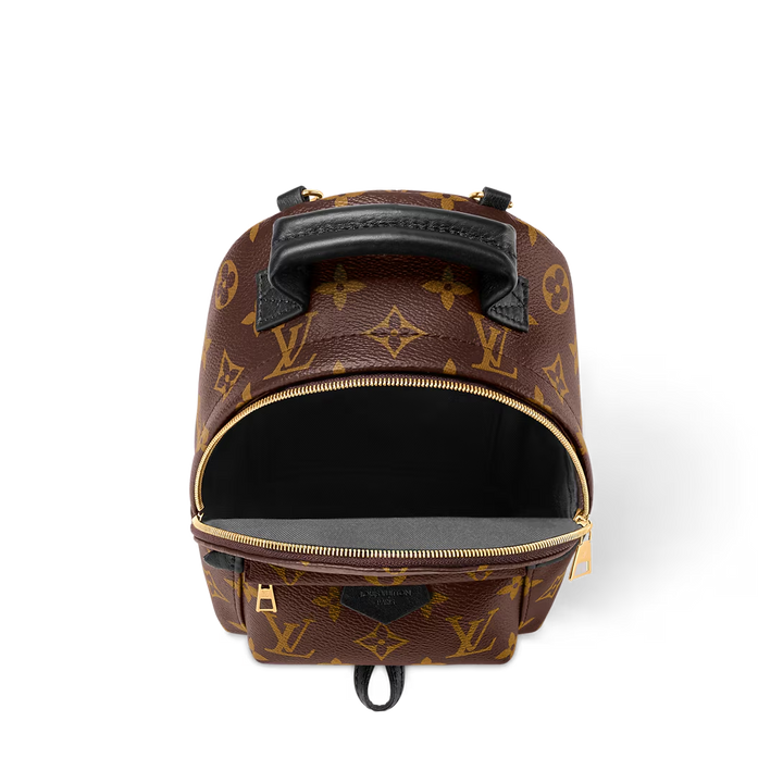 LV Palm Springs Mini Backpack