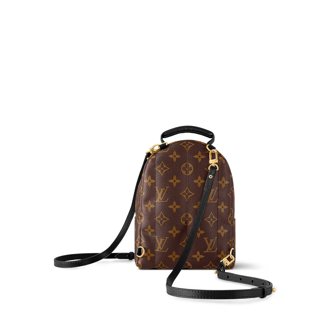 LV Palm Springs Mini Backpack