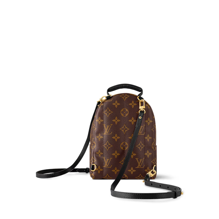 LV Palm Springs Mini Backpack